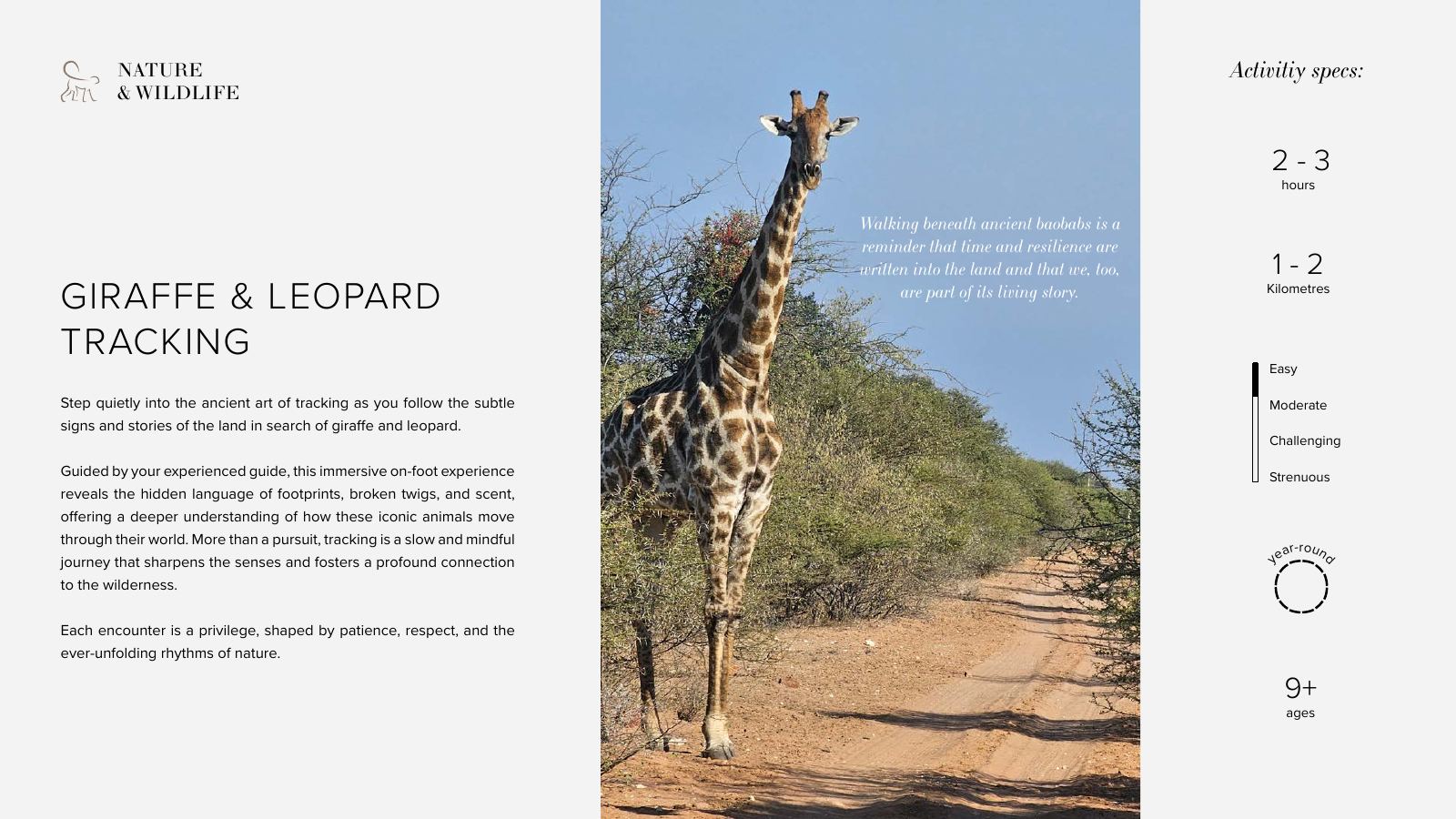 Few & Far Luvhondo experience and activity brochure, page 8