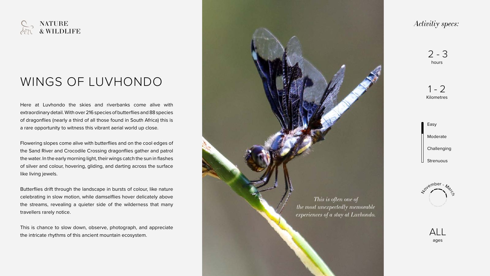 Few & Far Luvhondo experience and activity brochure, page 9