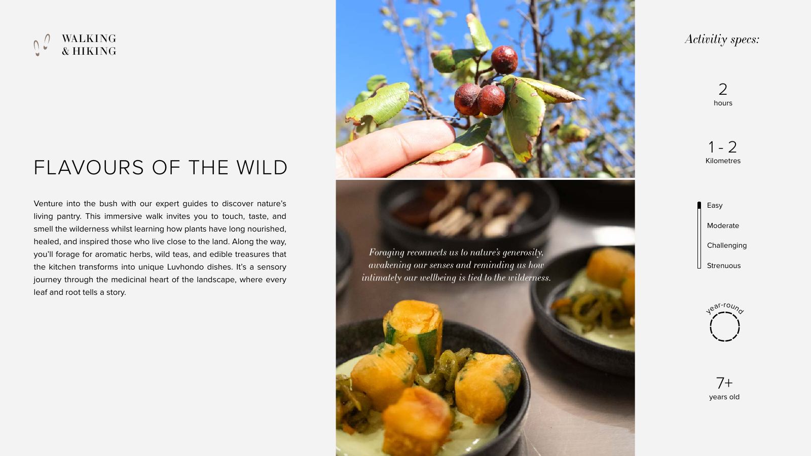 Few & Far Luvhondo experience and activity brochure, page 12