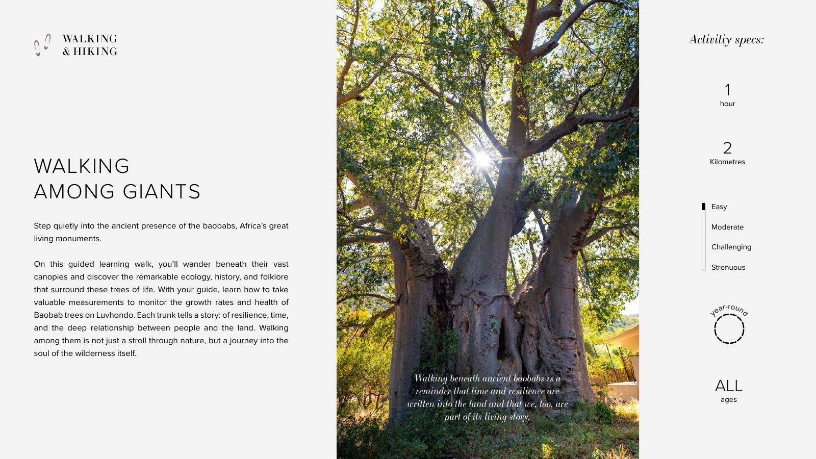 Few & Far Luvhondo experience and activity brochure, page 13