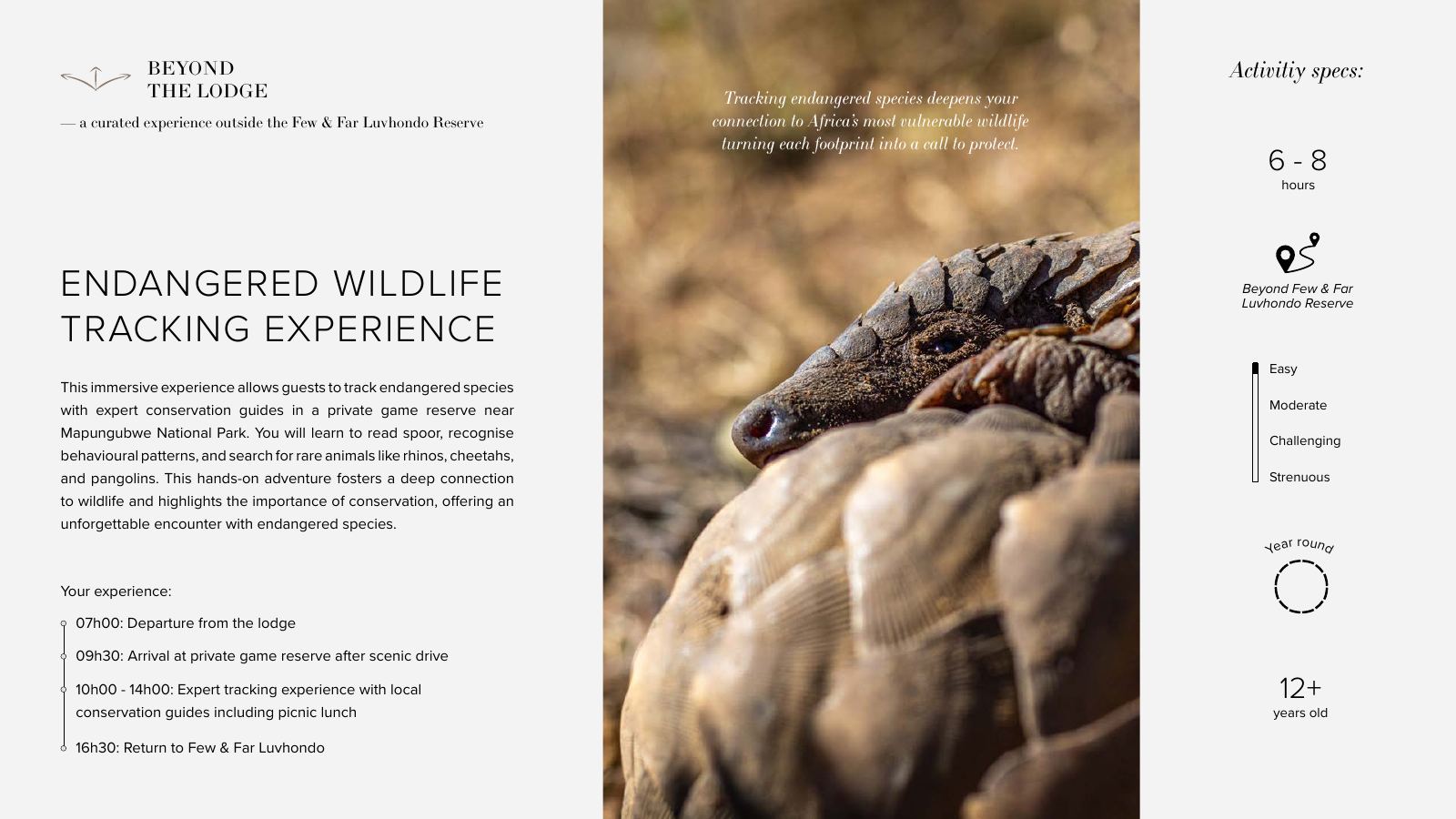 Few & Far Luvhondo experience and activity brochure, page 31
